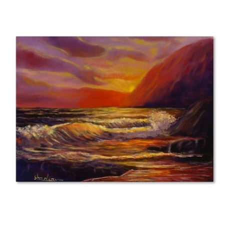 Manor Shadian 'Coastal Dreams' Canvas Art,24x32